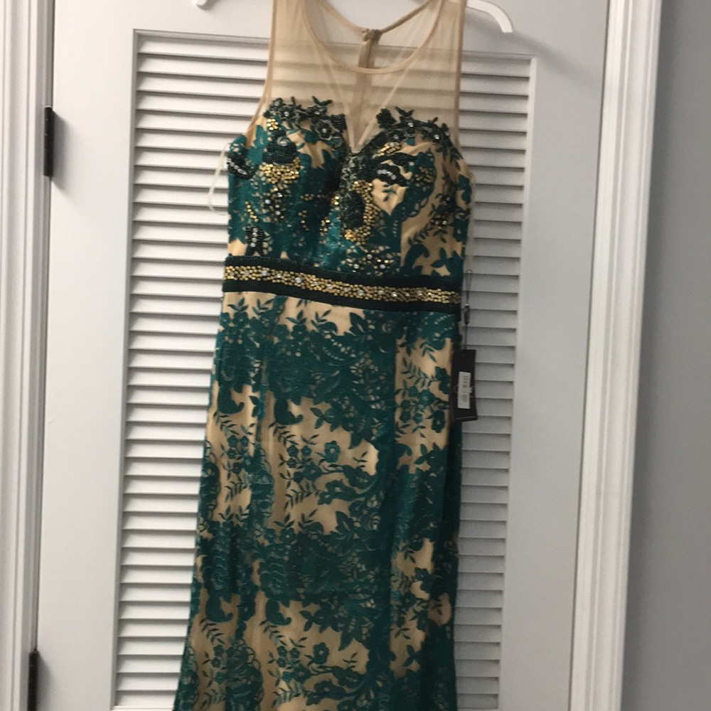 Beautiful Green & Nude Lace Mesh Dress